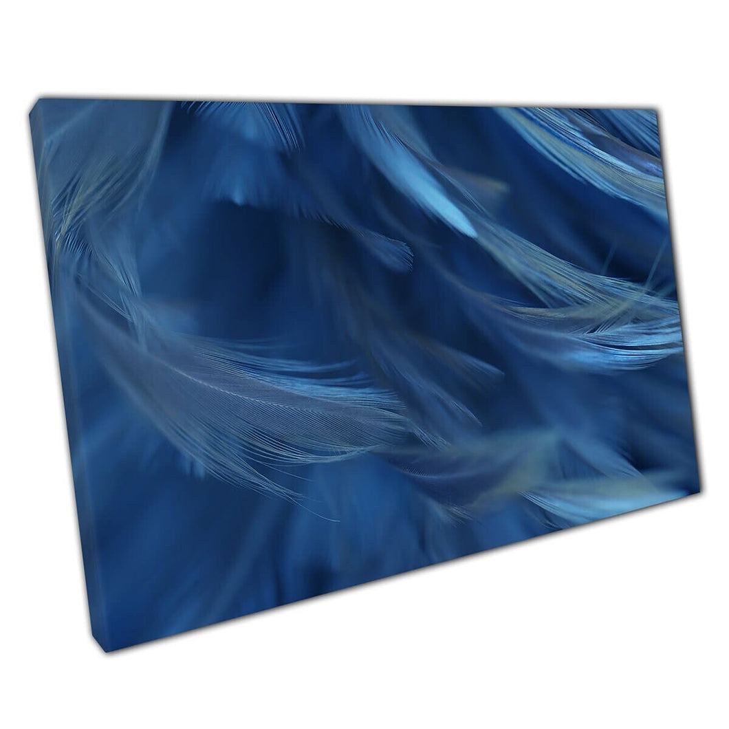 Blue Bird Feathers Soft Color Focus Macro Natural Abstract Texture Photography Wall Art Print op canvas gemonteerde canvas print
