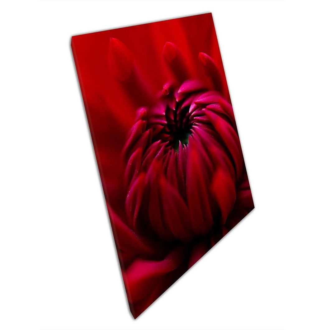 Felrode Scarlet Dahlia bloesem bloem gedetailleerde macro fotografie muur kunst print op canvas gemonteerde canvas print