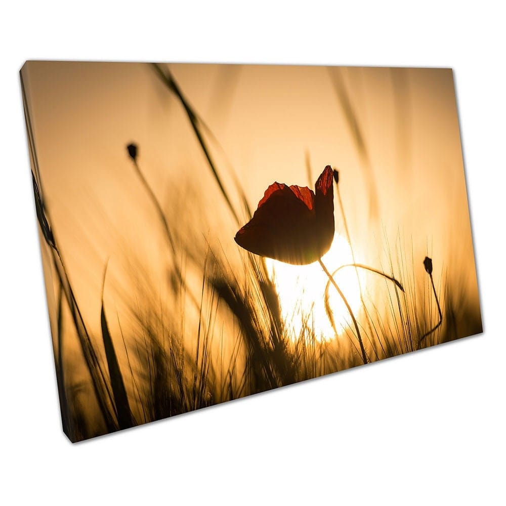 Prachtige ondergaande zon over wilde Poppy Meadow klaar om canvas muurkunst afdrukken gemonteerd canvas print te hangen