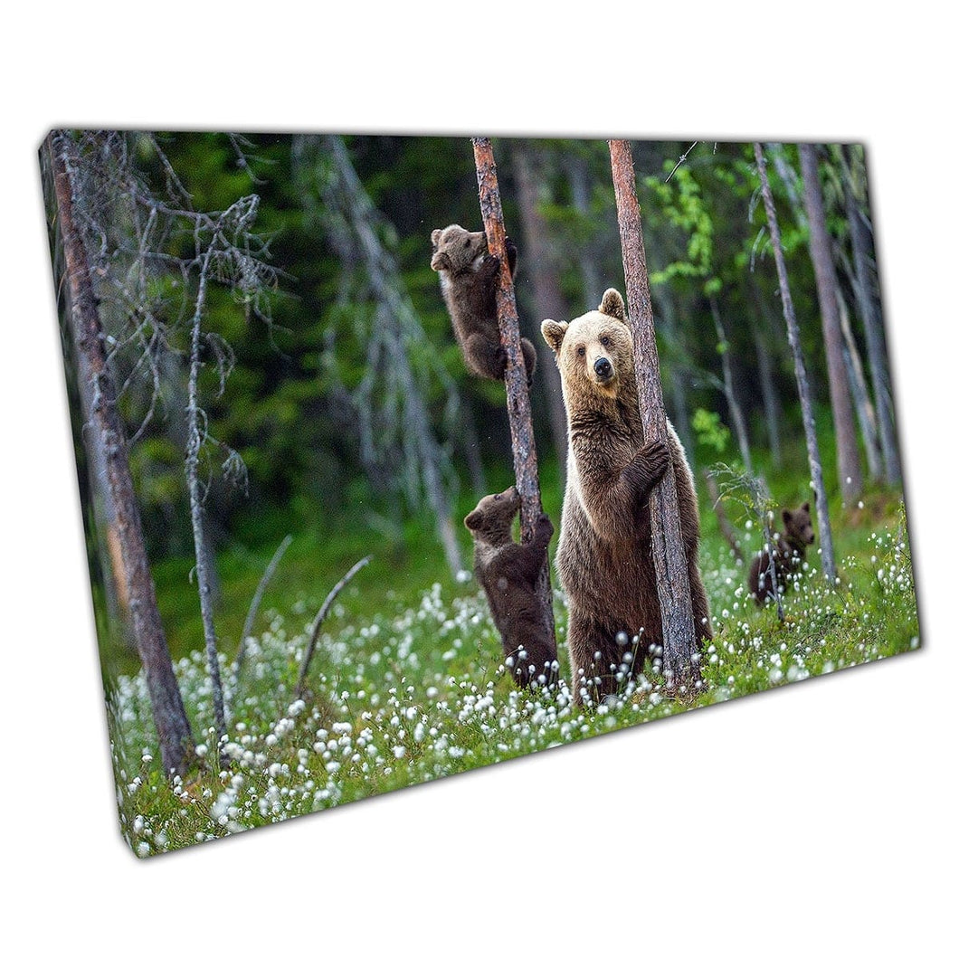 Moederbeer en berenwelpen spelen tussen de takken en bloemen in boshabitat Wall Art Print op canvas gemonteerde canvas print