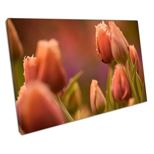 Afdrukken op canvas perzik tulpen bloem bloemen canvas muur kunst print gemonteerd canvas print
