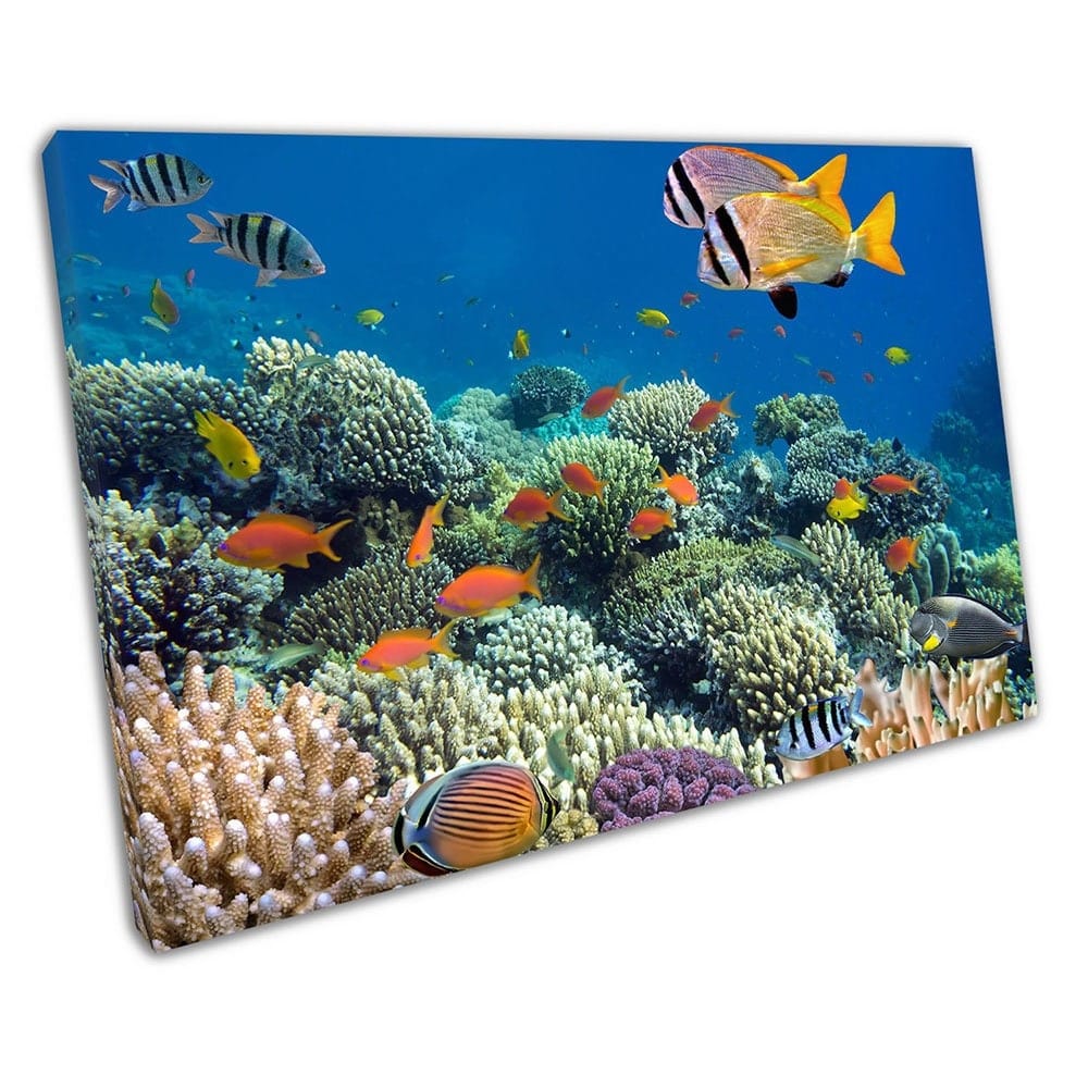 Koraalrif met tropische vissen zee -leven oceaankunst klaar om muur kunst te hangen print gemonteerde canvas print