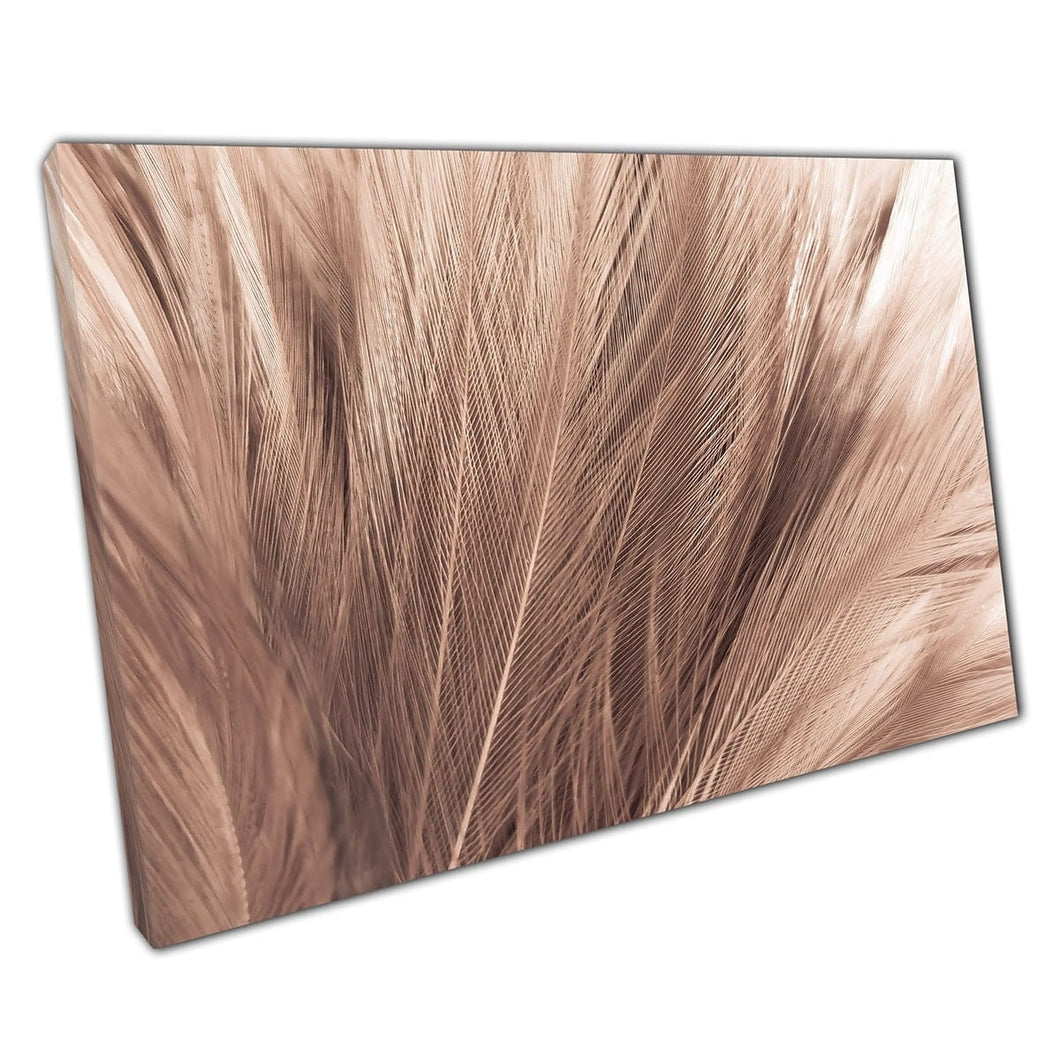 Mooie luxueuze zacht wit bruin veren neutrale afgezwakte minimalistische fotografie Wall Art Print op canvas gemonteerde canvas print