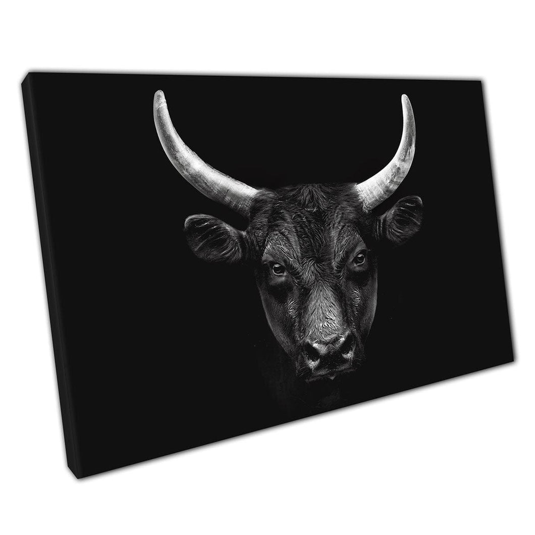 Powerful Intense Black Camargue French Bull Face Black And White Animal Photography Wall Art Print On Canvas Mounted Canvas print