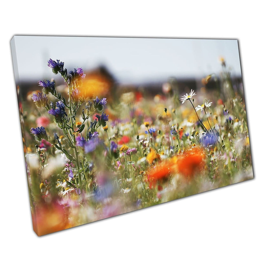 Helder kleurrijke natuurlijke bloemenbloembloem Meadow Wall Art Print op canvas gemonteerde canvas print