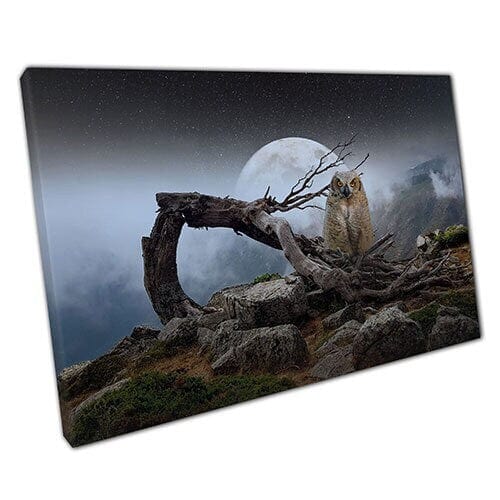Afdrukken op canvas Spooky Mysterious Owl en Moon Ready to Hing Wall Art Print Mounted Canvas Print