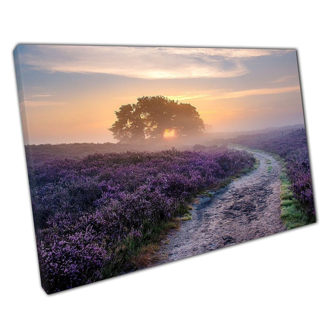 Verbluffende mistige paarse roze bloeiende Heather Fields Meadows Veluwe Zuiderheide Holland Wall Art Print op canvas gemonteerde canvas print