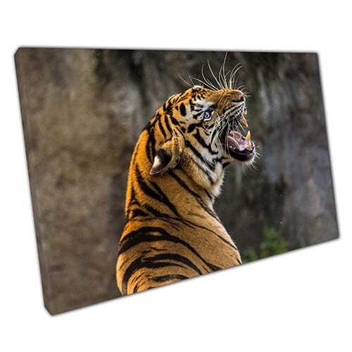 Print on Canvas Roar of a Wild Tiger Ready to Hang Wall Art Print Mounted Canvas print