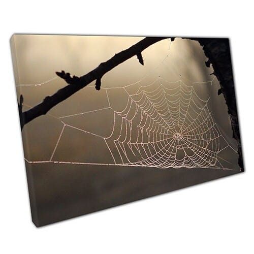 Stampa su Canvas Spider Web in Fog inquietante Pronto per appoggiare Wall Art Stampa di tela montata