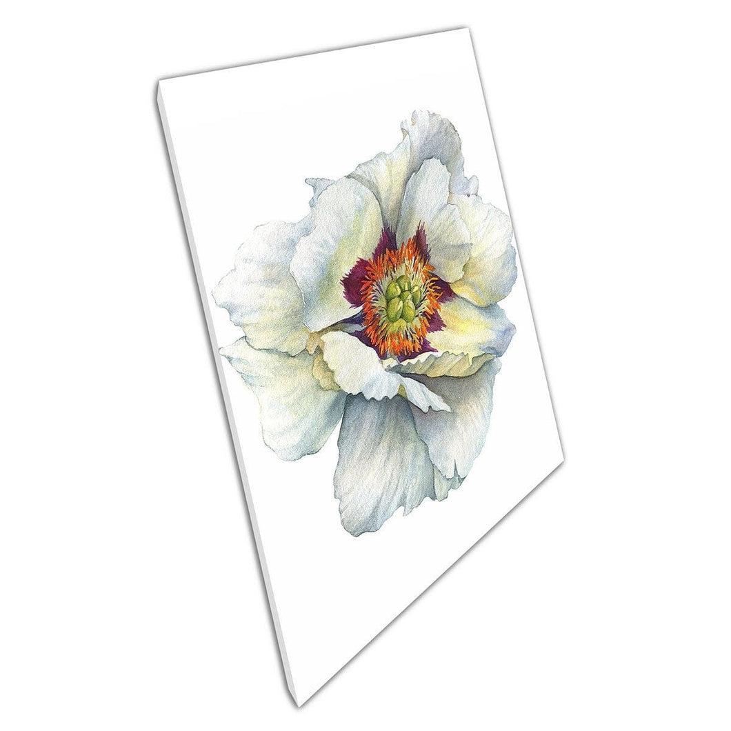 Verbluffende aquarel botanische illustratie van witte pioen bloemwand kunst print op canvas gemonteerde canvas print