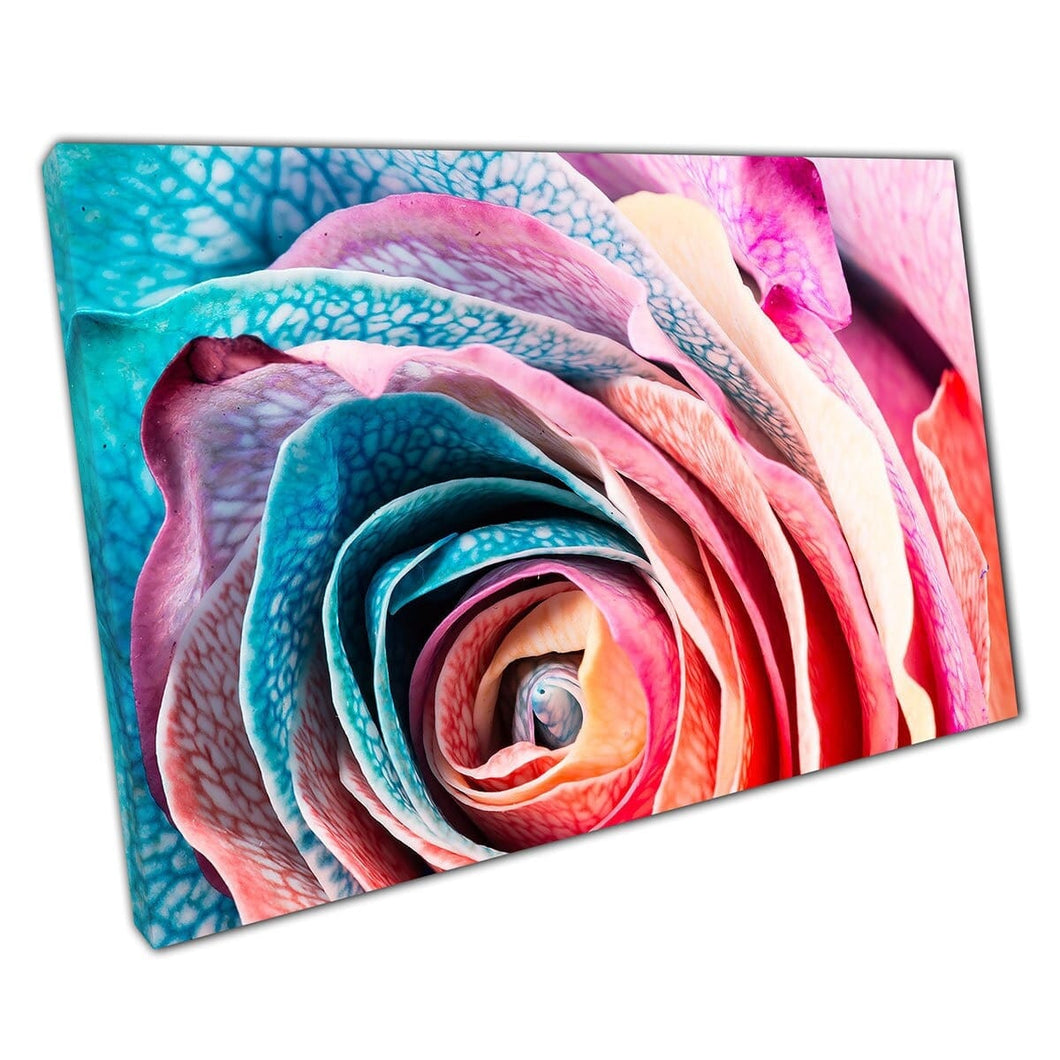 Rainbow Rose Macro Close Up Multolour Canvas Wall Art Print op canvas gemonteerde canvas print