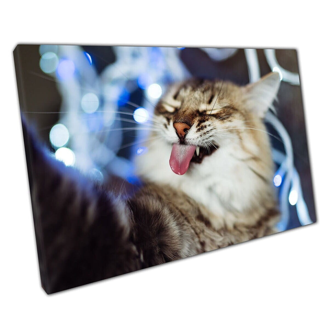 Grappige kat die zijn tong eruit steekt en een selfie schattige donzige huisdierkat kitten kitten muurkunst print op canvas gemonteerde canvas print