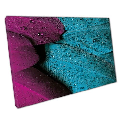 Print on Canvas Colourful Bird Plumage in the Rain Wall Art Print Mounted Canvas print