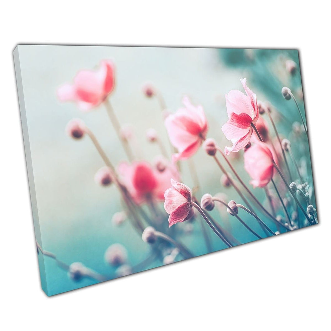 Beautiful Gentle Pink Blooming Flowers On A Spring Summer Morning Floral Photography Wall Art Print On Canvas Mounted Canvas print