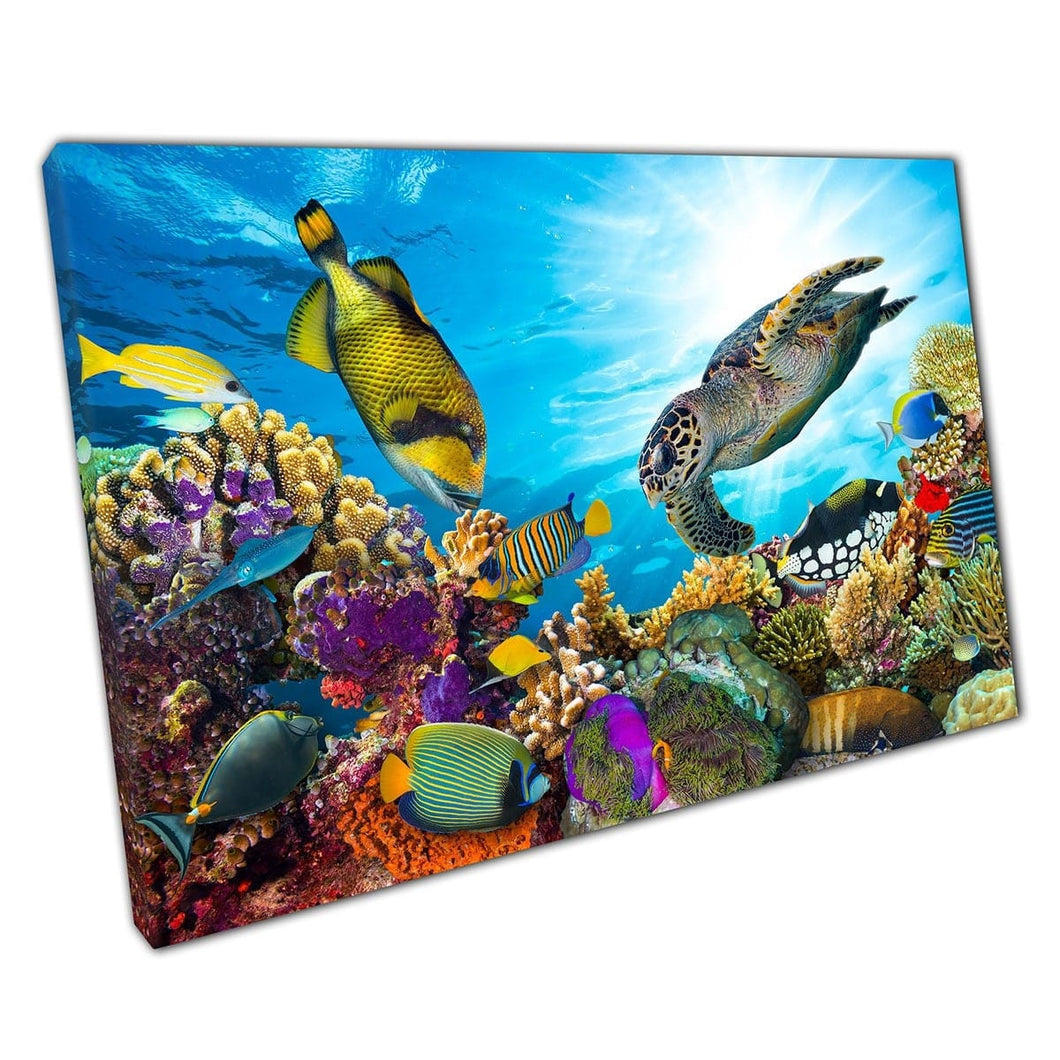 Kleurrijk koraalrif gevuld met levendige vissen en zwemmen zeeschildpad zeeleven muurkunstafdruk op canvas gemonteerde canvas print