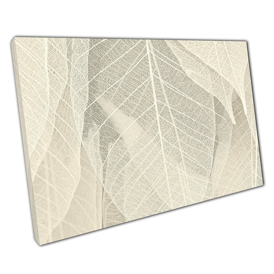 Gedroogd beige witte neutrale bladeren natuurlijke textuurkunst canvas muurkunst print op canvas gemonteerde canvas print