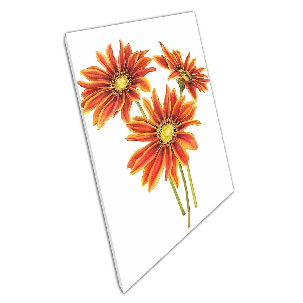 Oranje en gele Gazania Flower Tiger Stripes Zuid -Afrikaanse Daisy Floral Watercolor Wall Art Print op canvas gemonteerde canvas print