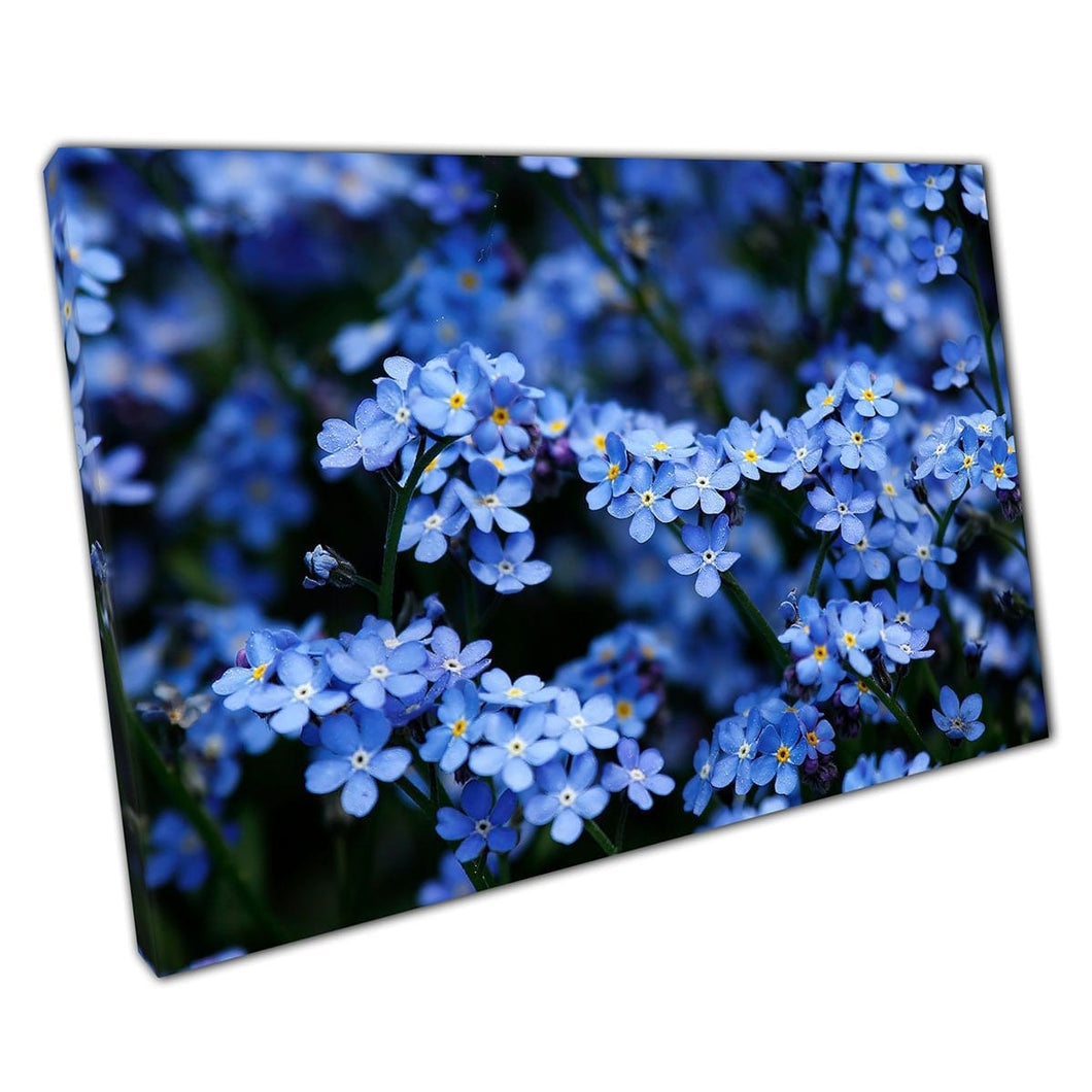 Kleine blauwe hortensia bloemen in de muurwand kunstafdruk op canvas gemonteerde canvas print