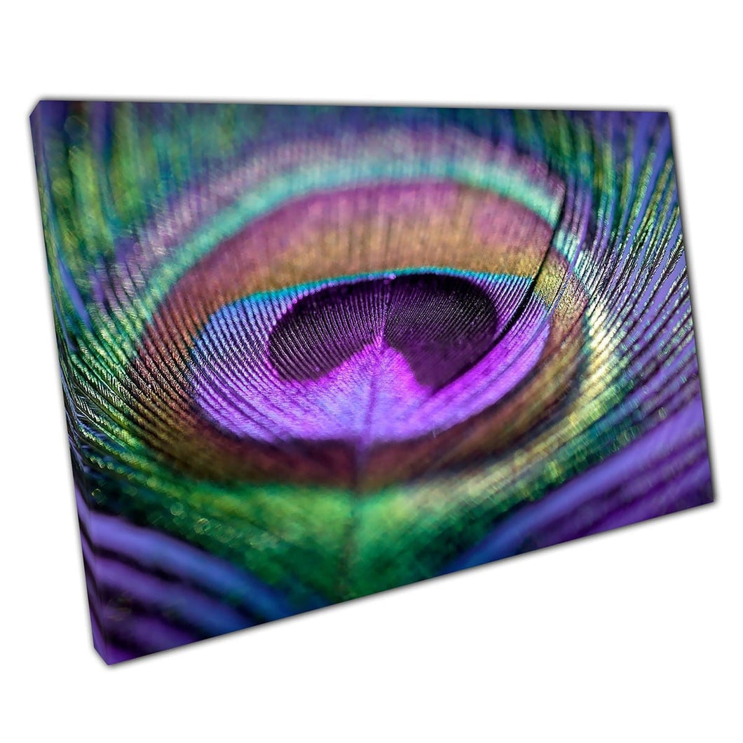 Macro Close Up Exotic Peacock Feather Purples And Greens Wildlife Details Wall Art Print On Canvas Mounted Canvas print