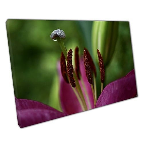 Afdrukken op canvas gedetailleerde macro roze lelie bloemencentrum klaar om muurwand te hangen afdrukken gemonteerde canvas print