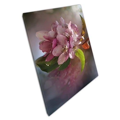 Afdrukken op canvas delicate roze bloemen macro klaar om muur kunst afdrukken gemonteerd canvas print te hangen