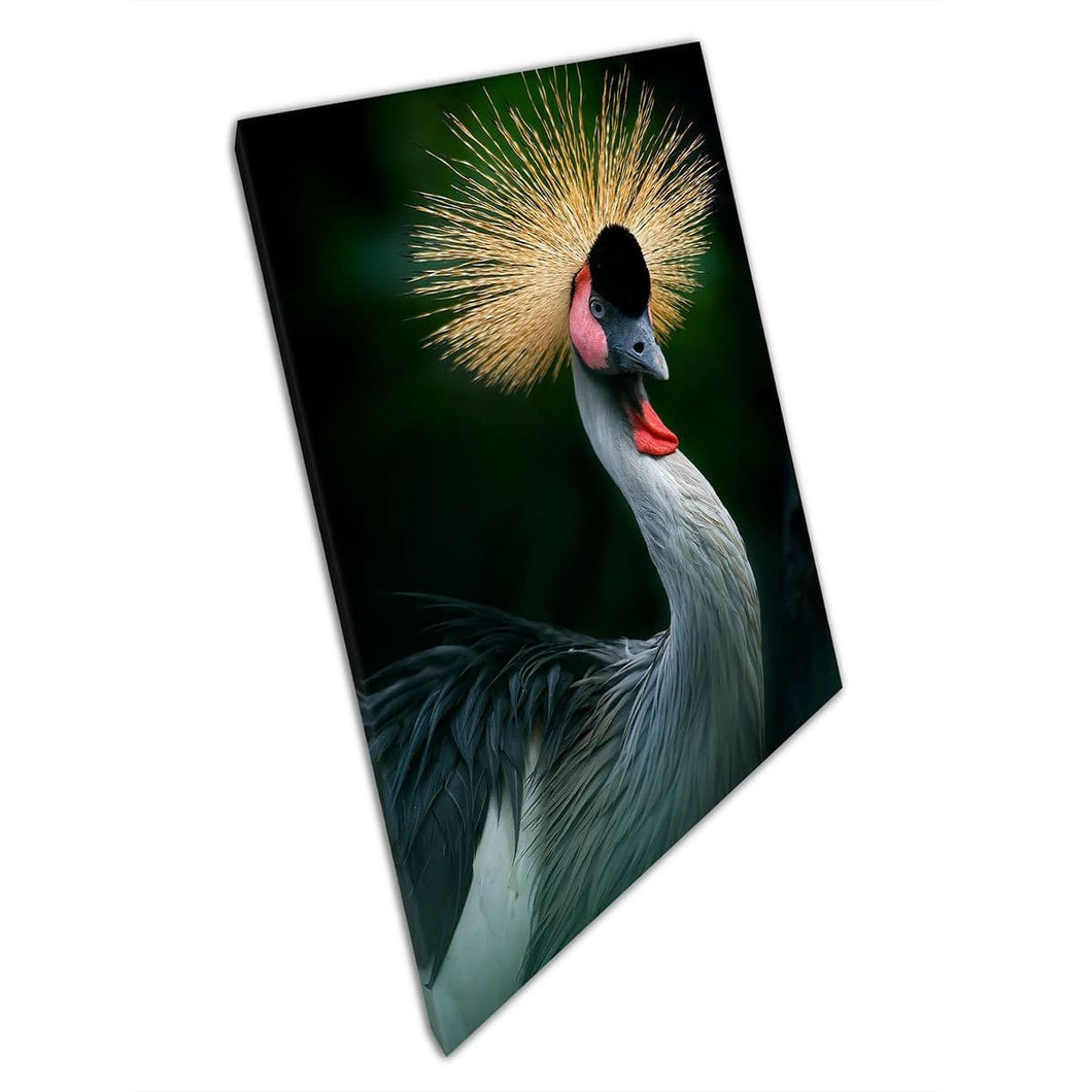 Gekroonde kraanvogel Jenjang Mahkota Verbluffende vogel van Oeganda Afrika Natuurfotografie Wall Art Print op canvas gemonteerde canvas print