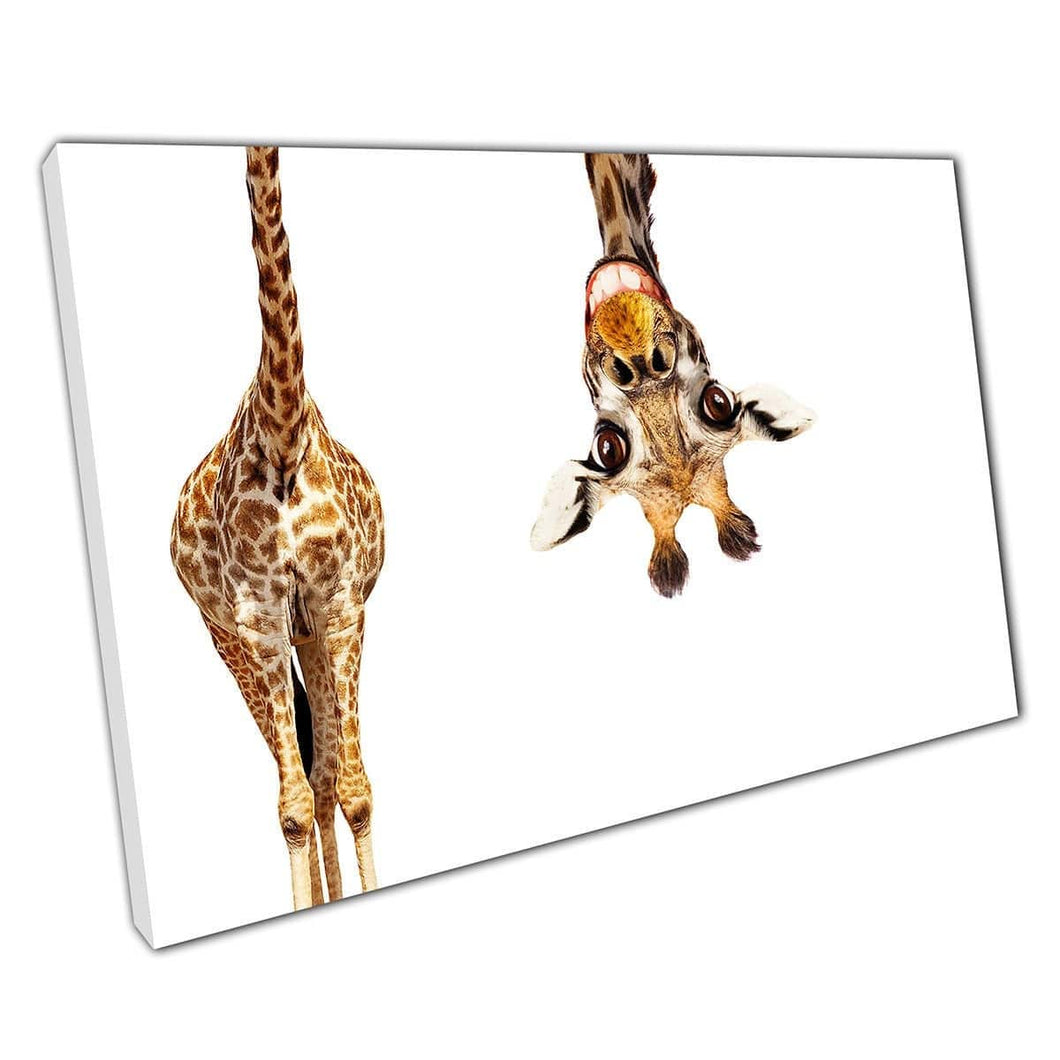Grappige dieren Giraffe Art Canvas Wall Art Print op canvas gemonteerde canvas print