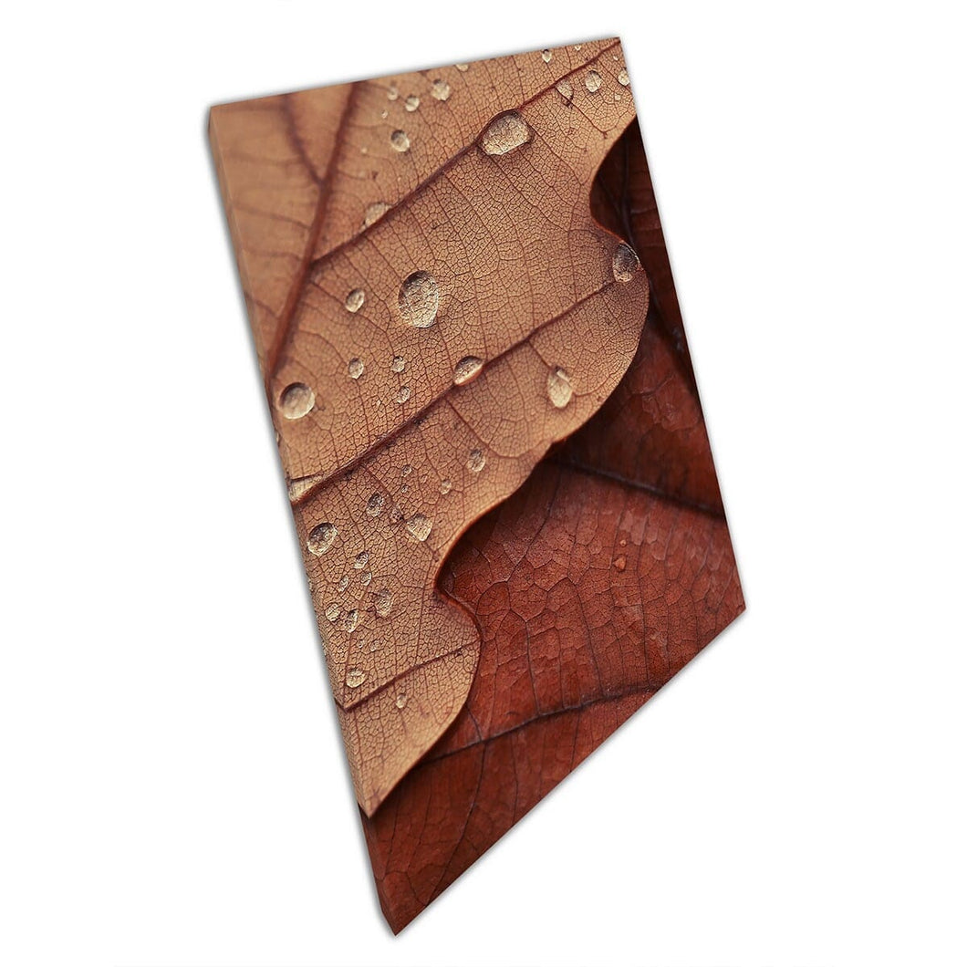 Two Shades Of Textured Brown Autumnal Leaves Macro Nature Photography Wall Art Print On Canvas Mounted Canvas print