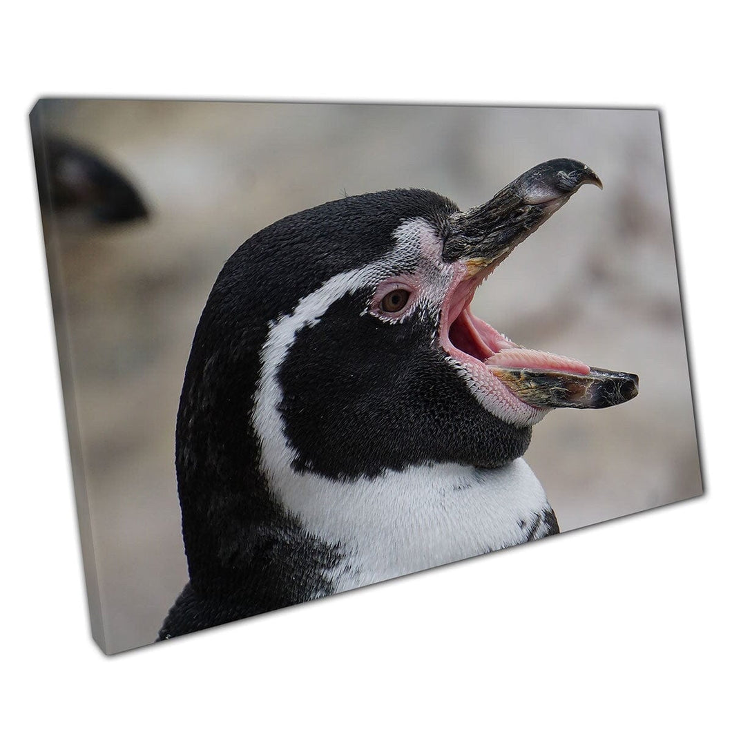 Gezicht van een grappige slaperige geeuwen pinguïn klaar voor een dutje Wildlife Sea Life Bird Animal Art Print op canvas gemonteerde canvas print