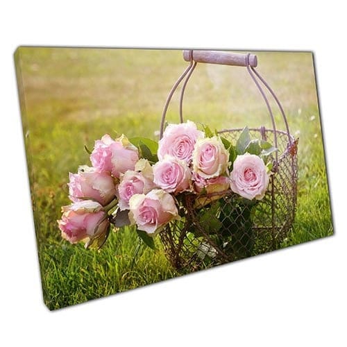 Print on Canvas Basket of Powder Pink Roses on Grass Ready to Hang Wall Art Print Mounted Canvas print