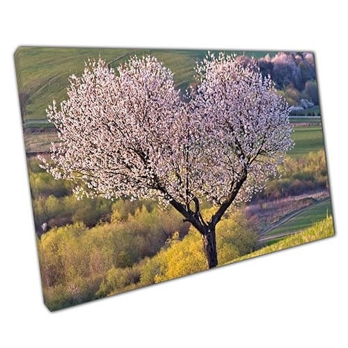 Afdrukken op canvas kersenbloesem liefdesheart tree klaar om muur kunst afdrukken gemonteerd canvas print te hangen