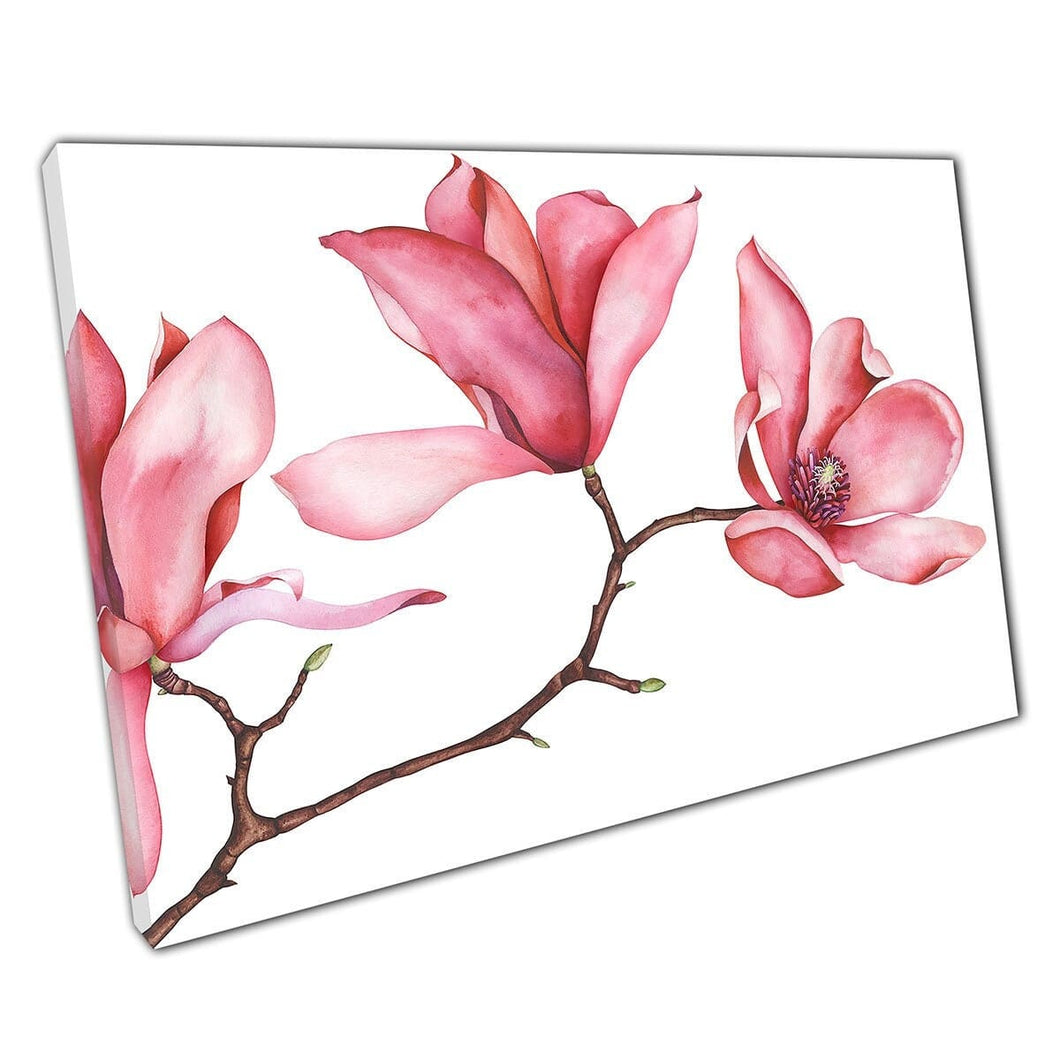 Floral Delicate Pink Magnolia Branch Aquarel schilderij illustratie Wall Art Print op canvas gemonteerde canvas print