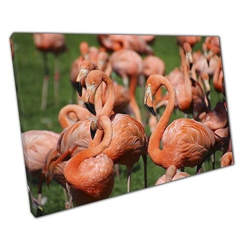 Afdrukken op canvas groep wilde flamingo's verkennen muur kunstprint gemonteerde canvas print
