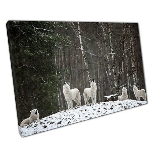 Afdrukken op canvas pack van wilde poolwolven huilen klaar om muur kunst afdrukken gemonteerd canvas print te hangen