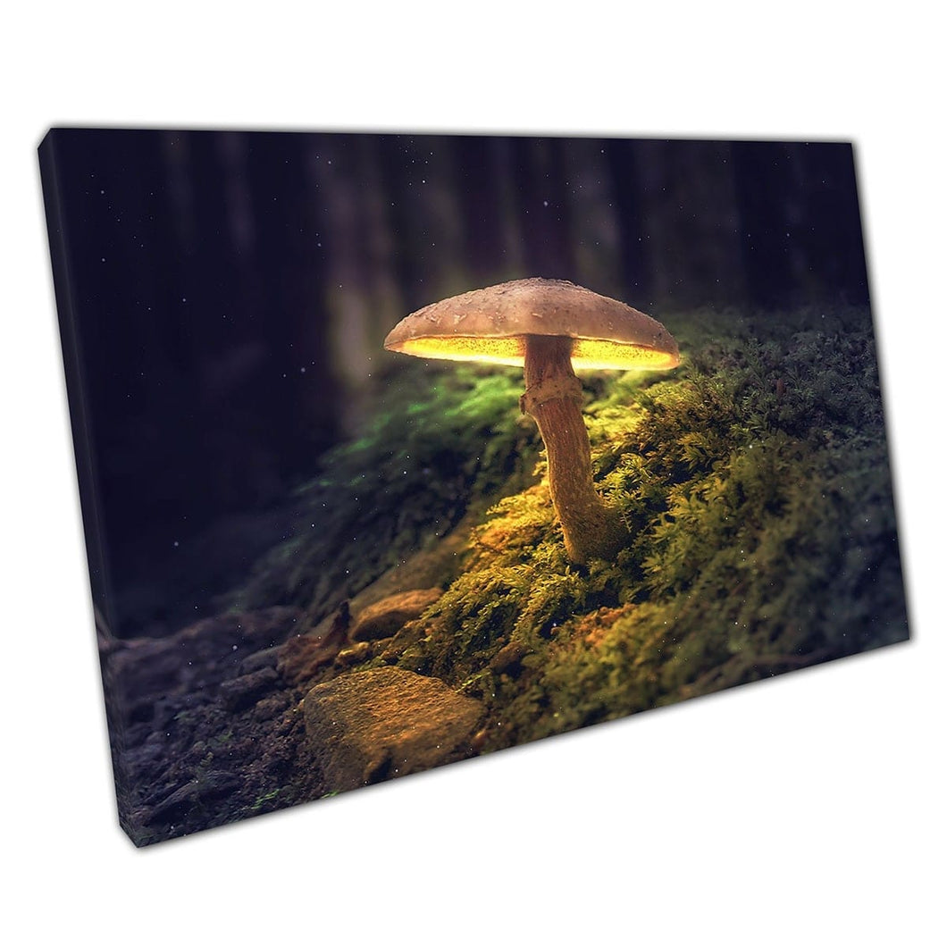 Magical Fantasy Blowing Mushroom in una stampa artistica da parete boschiva scura su tela di tela stampata