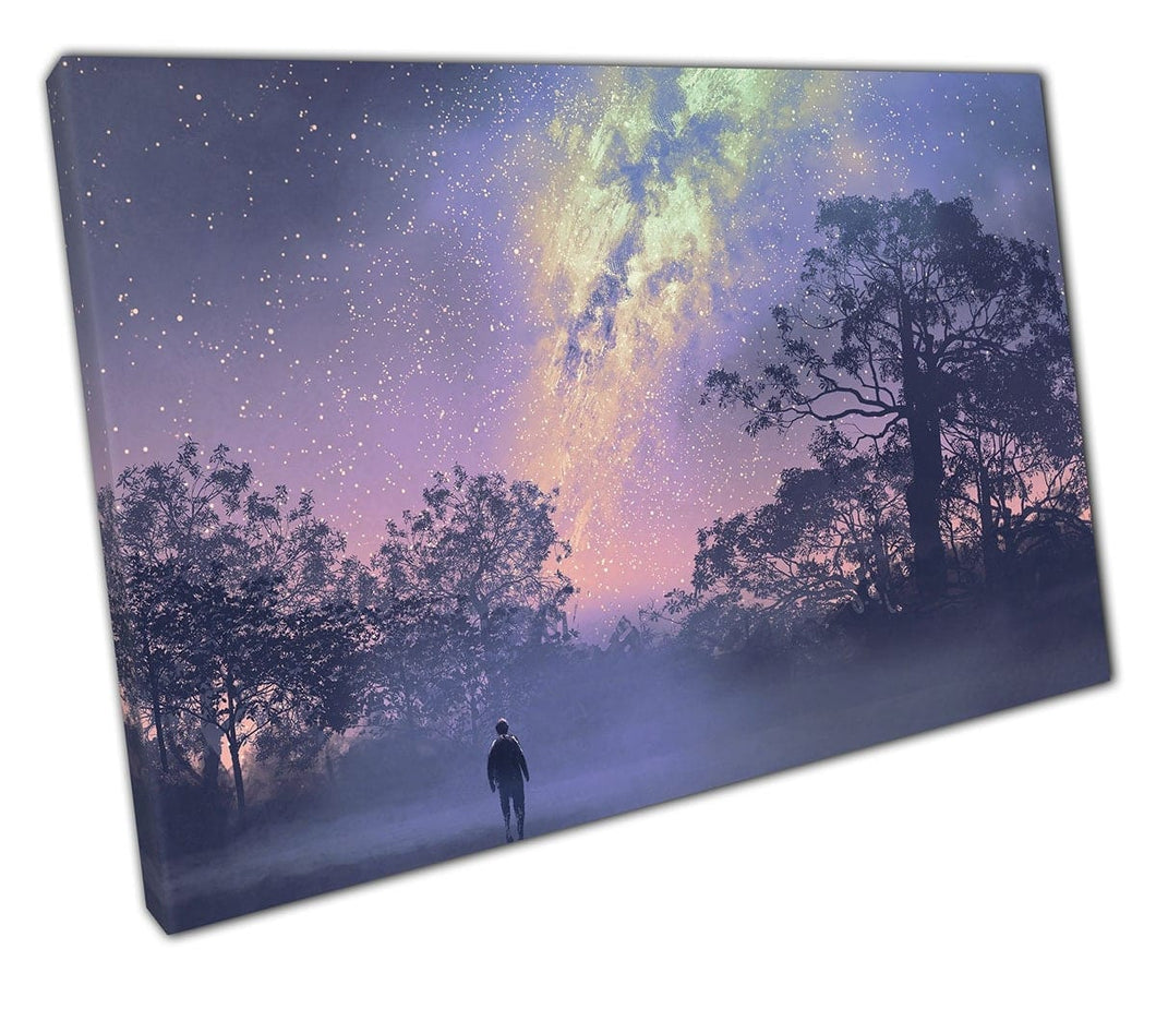 Canvas print nacht sky wall art klaar om op te hangen print gemonteerde canvas print
