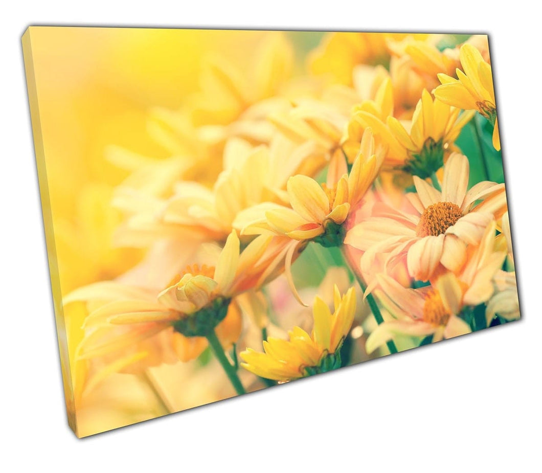 Arte fiorita di girasoli selvatici pronti a impiccare arte murale stampa montata in tela montata