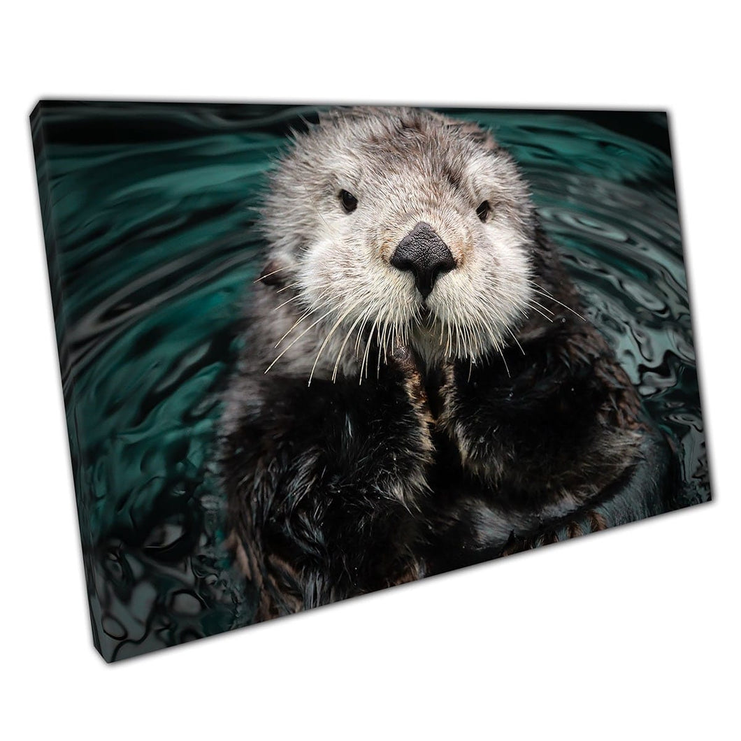 Leuke donzige zee otter ontspannend in water poseren voor de camera Wild Animal Photography Wall Art Print op canvas gemonteerde canvas print