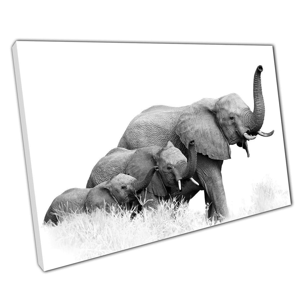 Three Wild African Bush Elephants With Raised Trunks Black And White Photography Wall Art Print On Canvas Mounted Canvas print