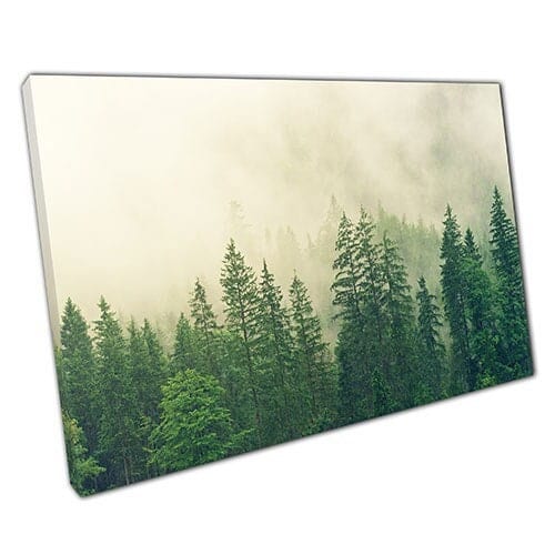 Stampa su tela Fog coperta Mysterious Woodland Wall Art Stampa di tela montata