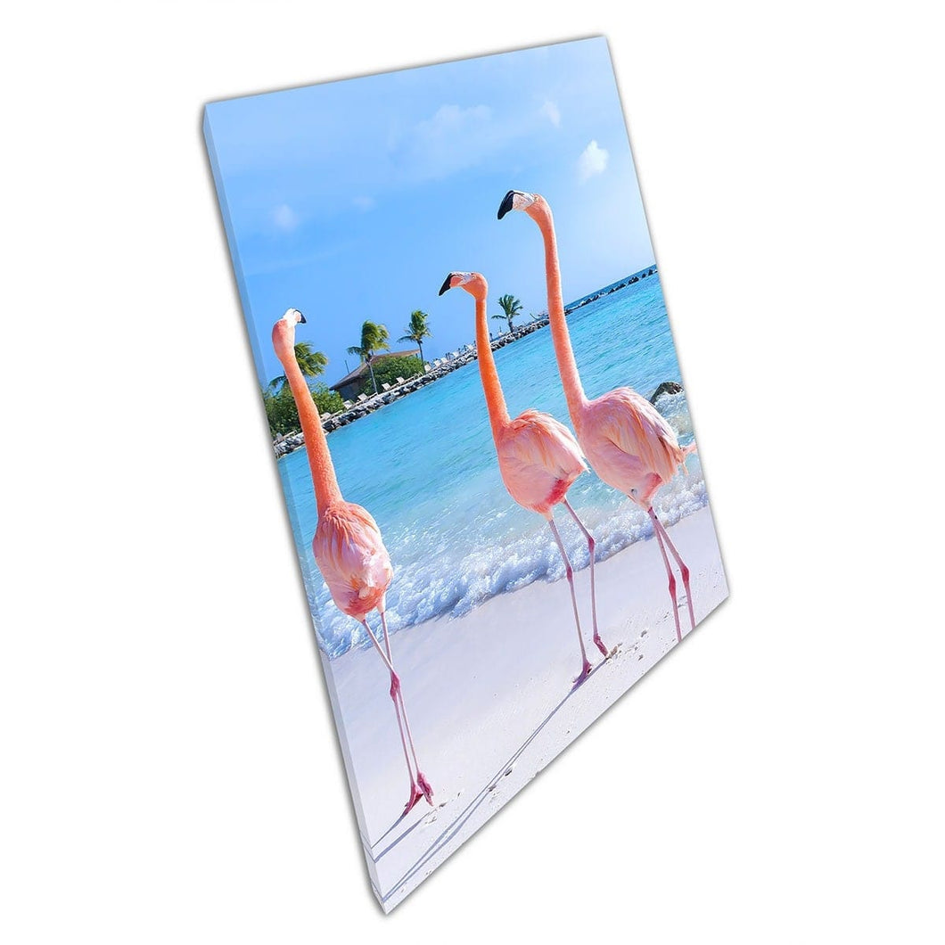Beautiful Pink Flamingos Casually Strutting Down A Sandy White Beach Nature Wall Art Print On Canvas Mounted Canvas print
