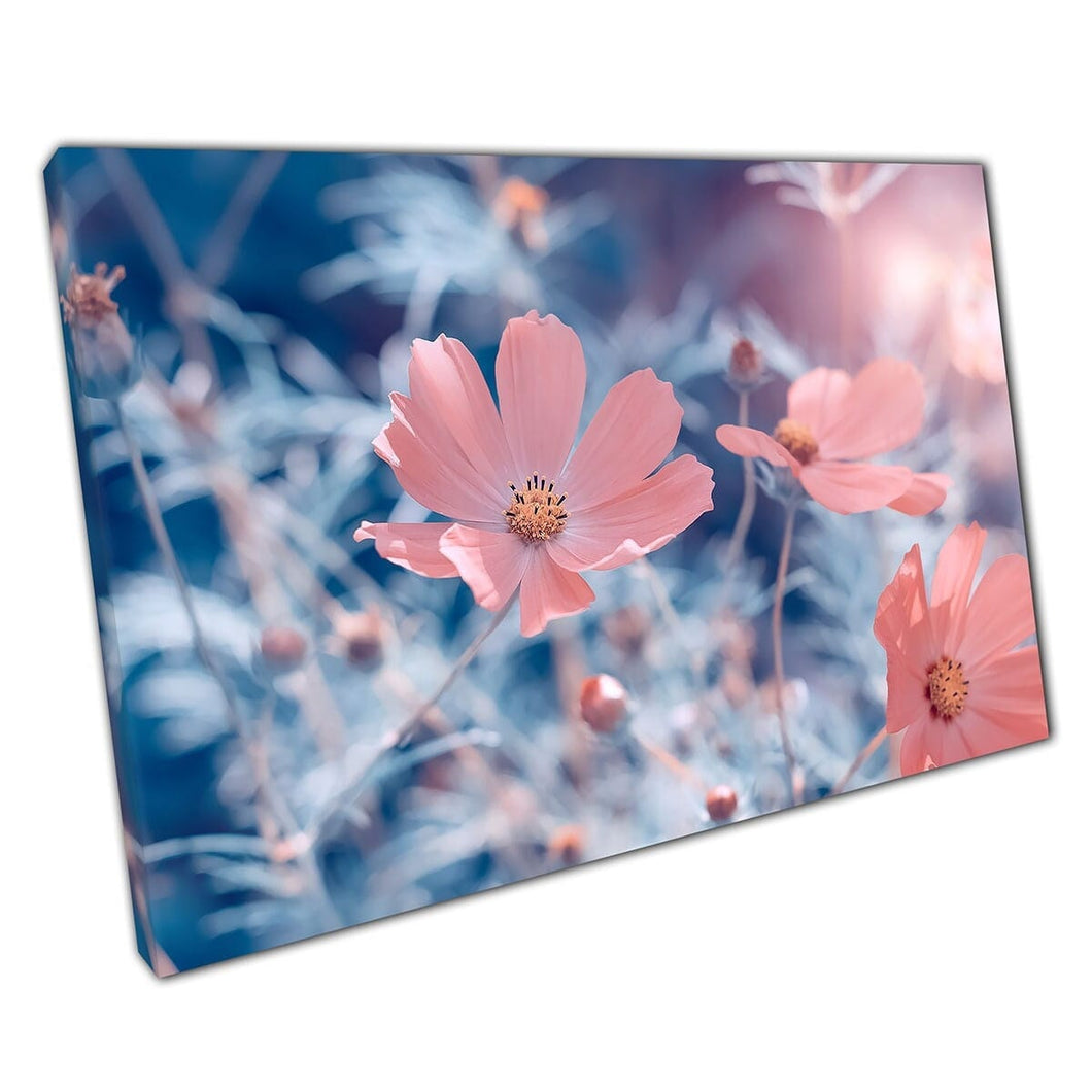 Delicate mooie roze kosmos bloemen in de zon abstract blauw gebladerte achtergrond muur kunst print op canvas gemonteerde canvas print