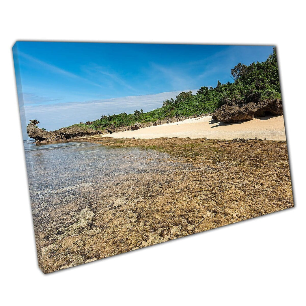 Ondiep paradijs helder zeestrand bij laag ondiep getij omgeven door pluche groene planten muur kunstprint op canvas gemonteerde canvas print