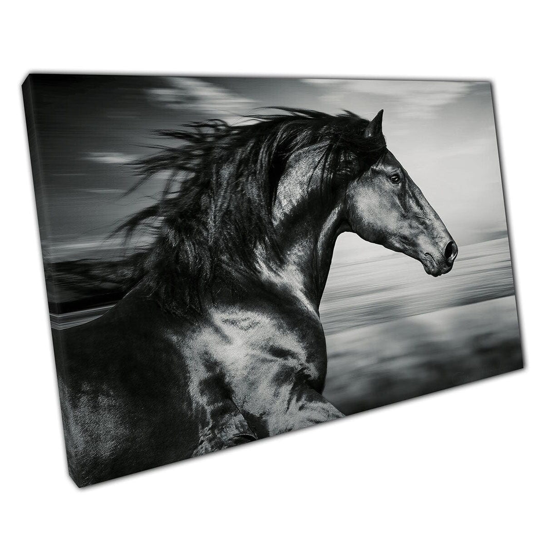 Potente Muscular Spanish Black Stallion Horse Galloping Dramatic Black Wall Art Print su tela Stampa di tela montata