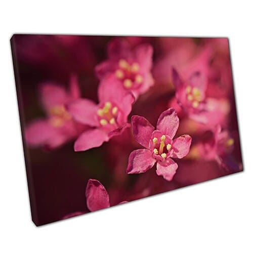 Stampa su tela Sweet Pink Flower Dettagli ART Wall Art Stampa di tela montata