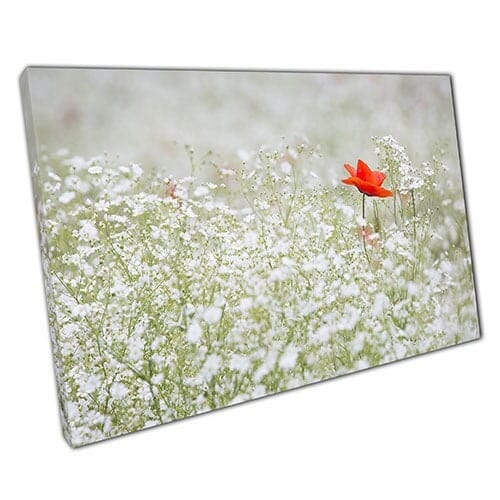 Afdrukken op canvas wilde weide enkele rode bloem klaar om muurwand te hangen, afdrukken canvas print
