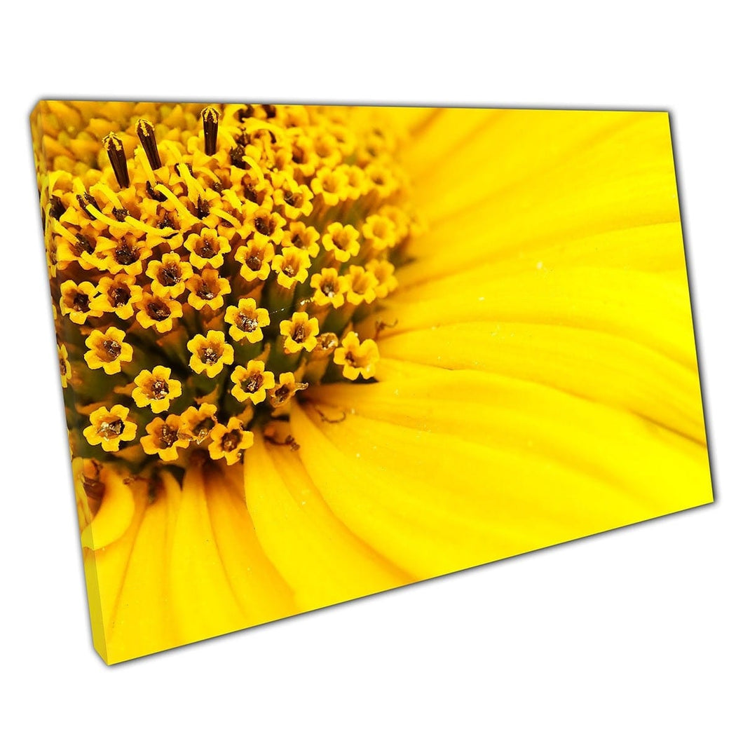 Centrale bloem levendige gele bloemblaadjes macro natuurfotografie muurkunst print op canvas gemonteerde canvas print