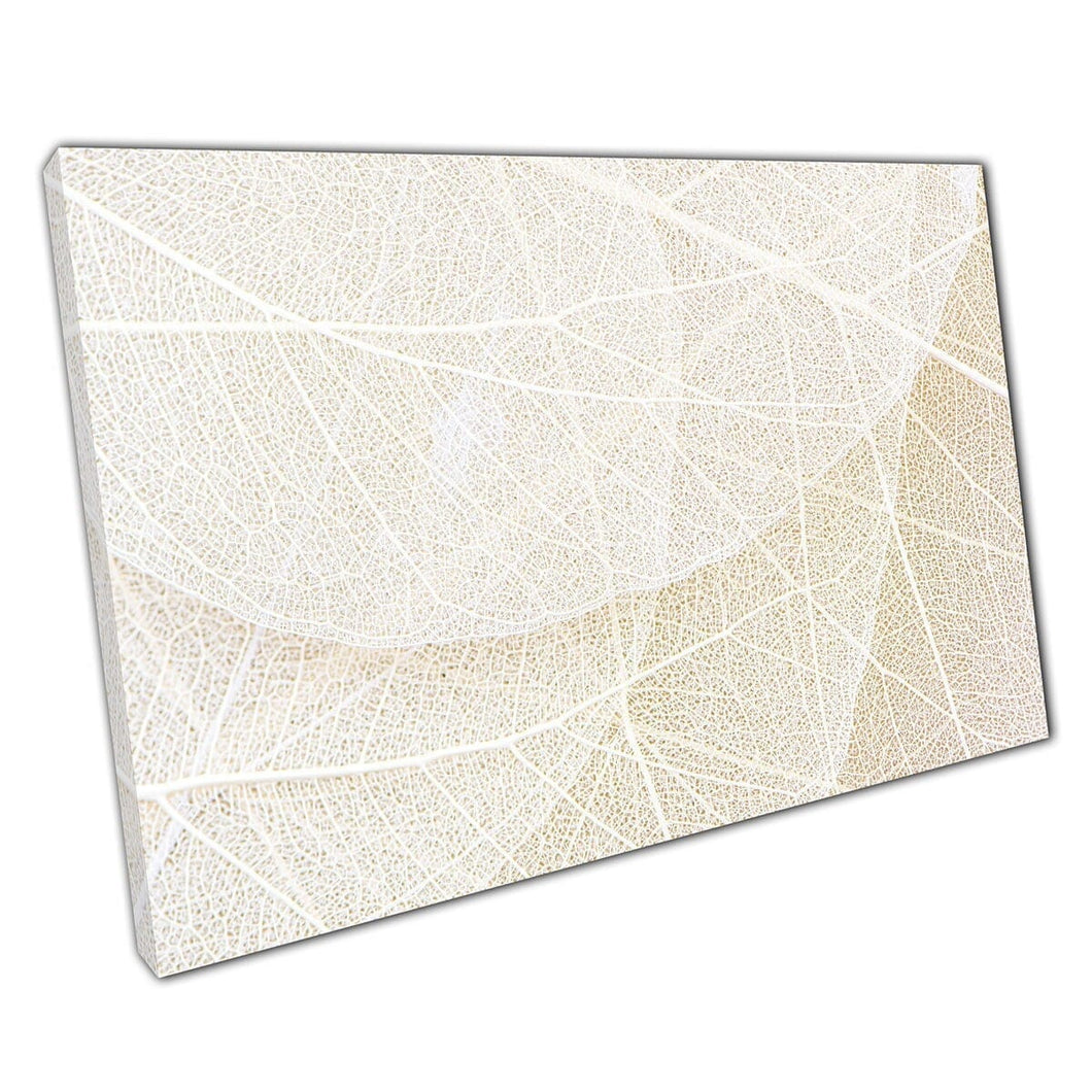 Close -up gedetailleerde structuur van gedroogd skeletbladeren Minimalistische neutrale toon Abstract Wall Art Print op canvas gemonteerde canvas print
