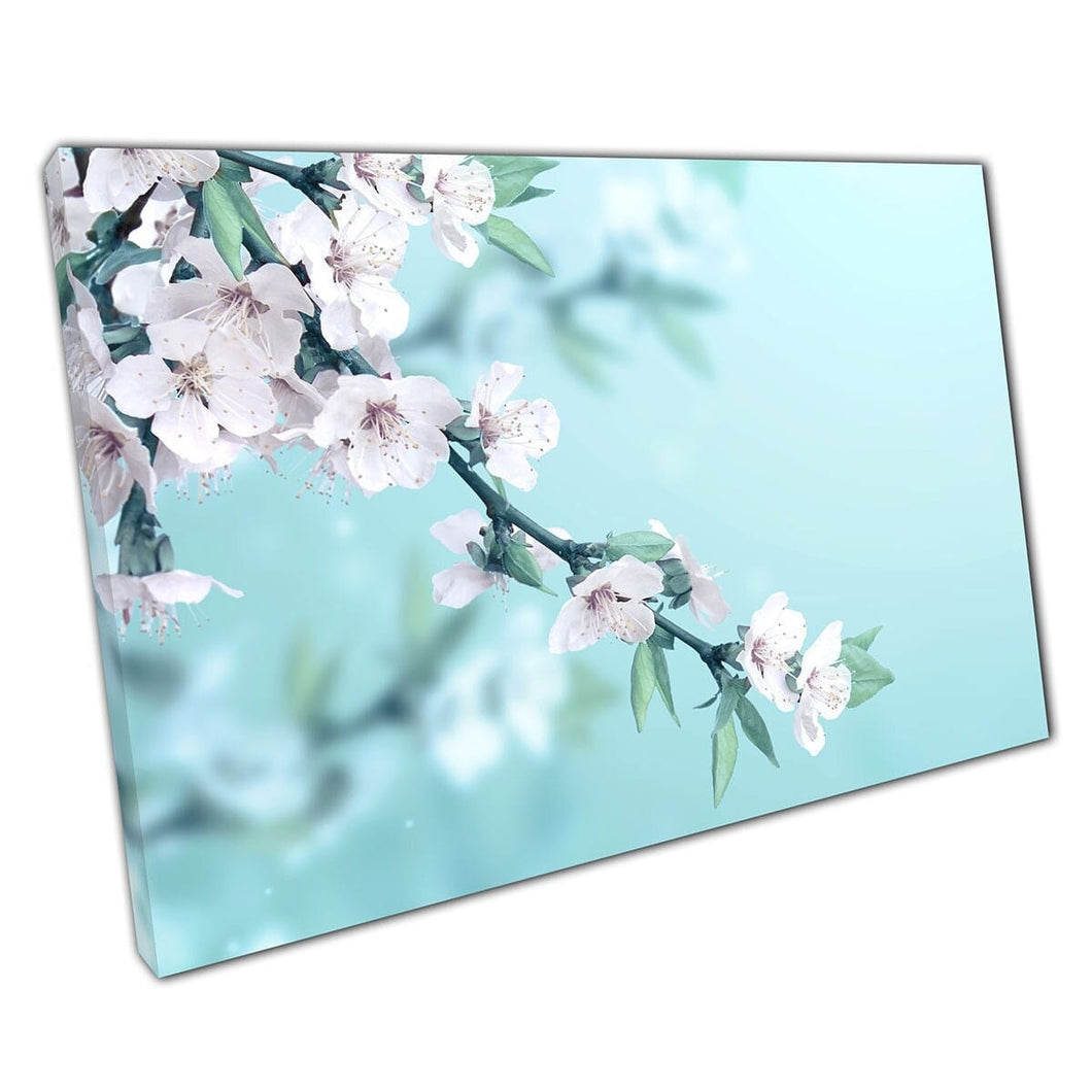 Beautiful Delicate White Cherry Blossoms Magical Nature Photography Flowers Floral Wall Art Print On Canvas Mounted Canvas print