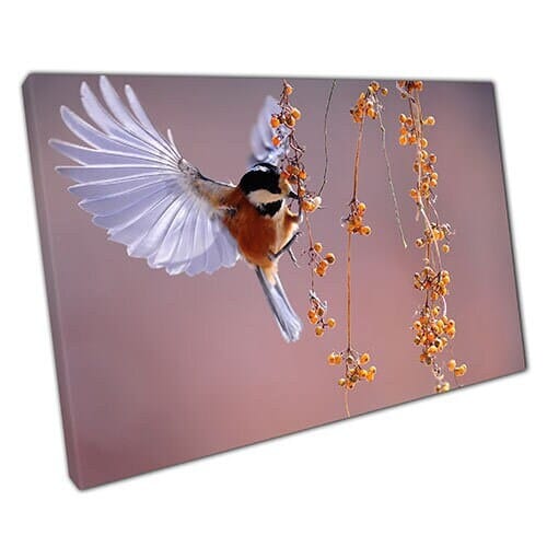 Afdrukken op canvas vogel dierenkunst klaar om canvas muurkunst te hangen afdrukken gemonteerde canvas print